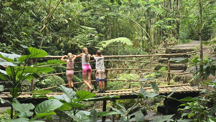 Drie kinderen op een bamboebrug in de jungle